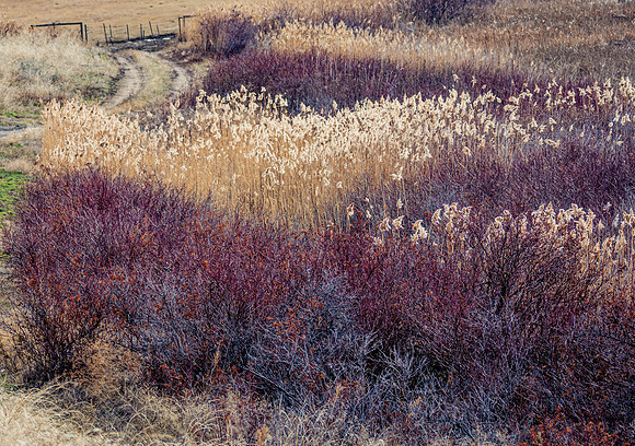 _DSC2740