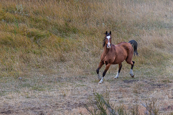 _DSC1025