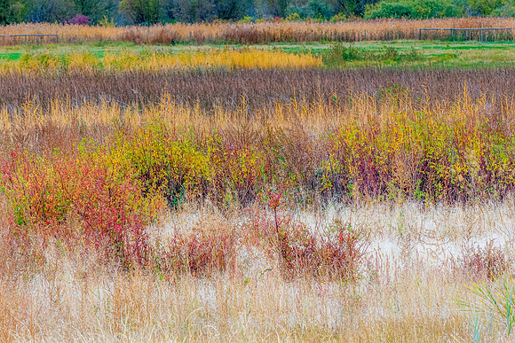 _DSC1169