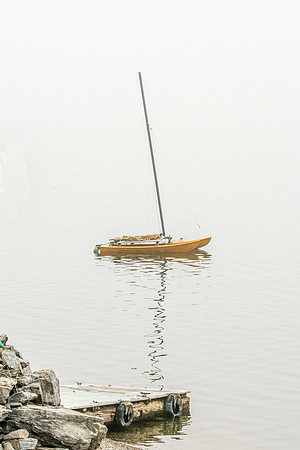 _DSC9239-Edit