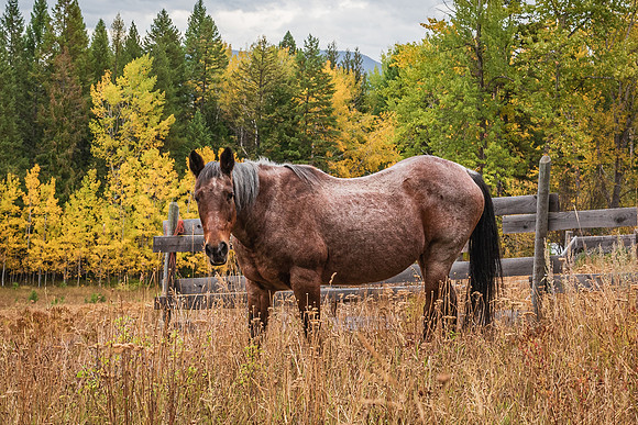 _DSC8105