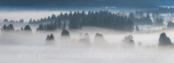 _DSC8959-Pano 20201220