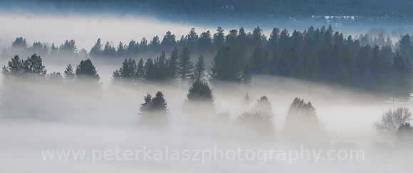 _DSC8959-Pano-2 20201220