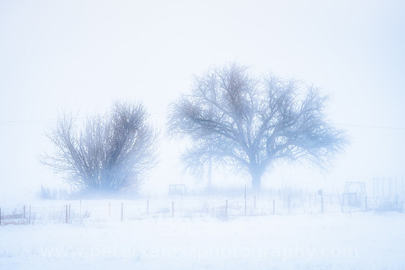 _DSC8795-Edit 20201220