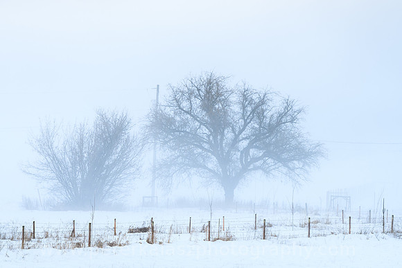 _DSC8803 20201220