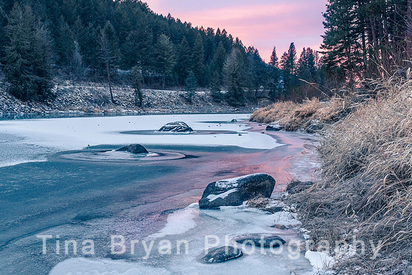 _DSC4206-Edit 20210119
