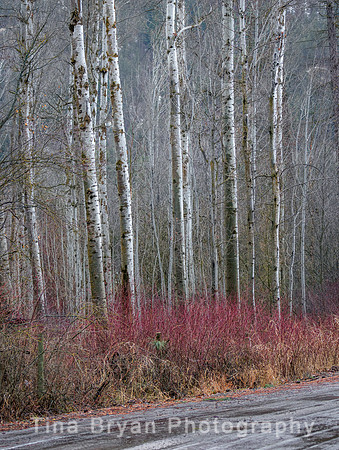 _DSC328820210131- 20210131