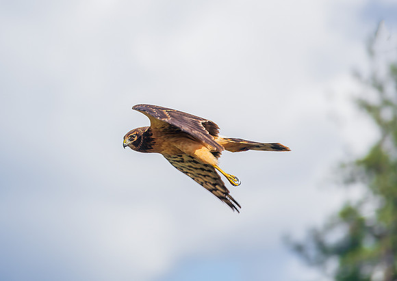 20210920-_DSC7320-Edit-Edit