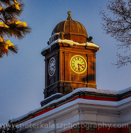 DSC00365-Edit