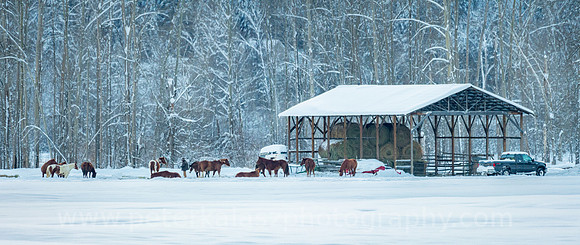 _DSC0314-Pano