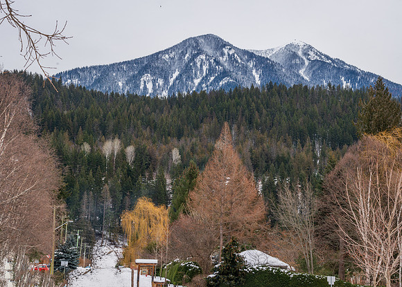_DSC387120210214--Pano
