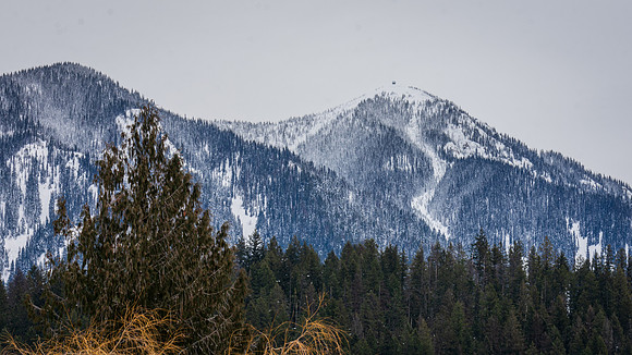 _DSC387720210214- New Denver