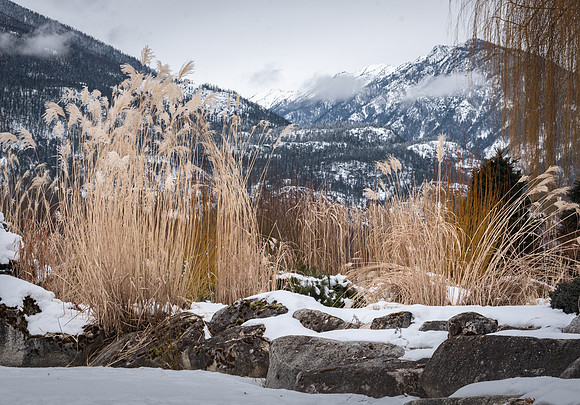 _DSC482420210214-