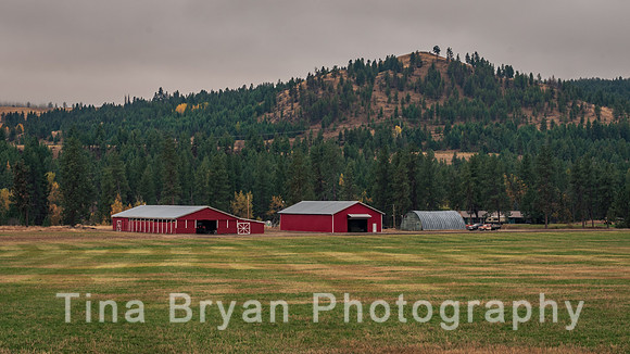 _DSC9170 - KV - Farms