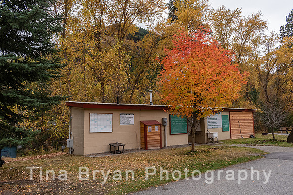 _DSC9394 -Midway