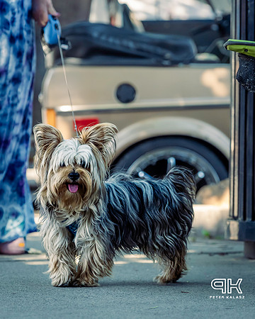 240706 _Z8D3082-Edit