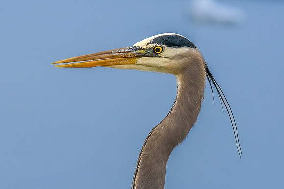 _DSC6349-Edit