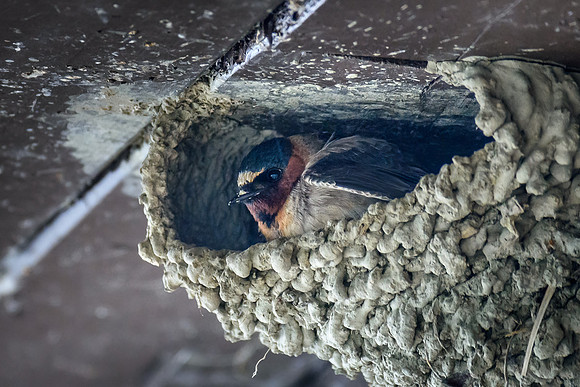 _DSC5861-Edit