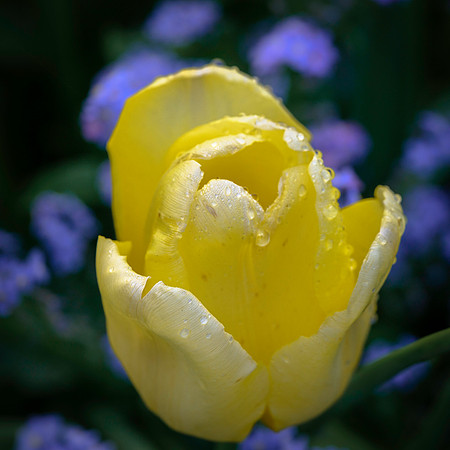250512 _Z8D0495