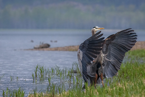 _DSC6217-Edit